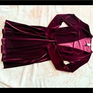 American Apparel Deep V Velvet Skater Dress